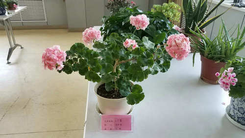 微信图片_20190427112625.jpg